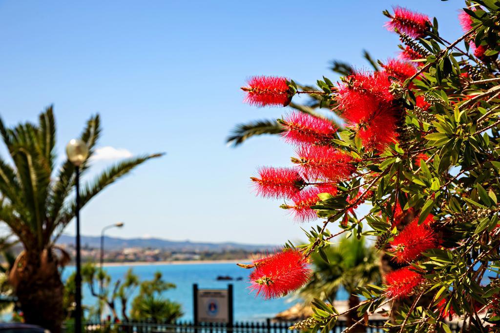 Stam'S Paradise Chania  Buitenkant foto